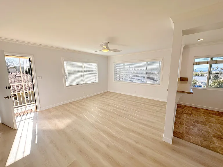 Living Room and Front Entrance