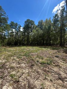 0 Autumn Ln, Trenton, SC, 29847