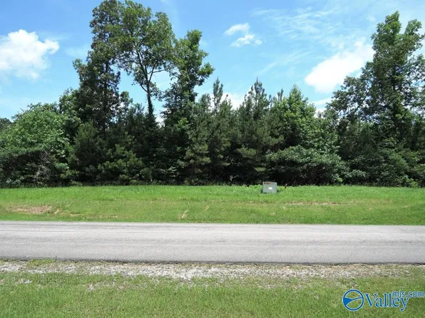 209 Stoney Point Dr, Double Springs, AL 35553