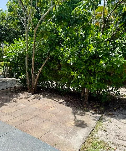 301 S M St #1 — Photo 19