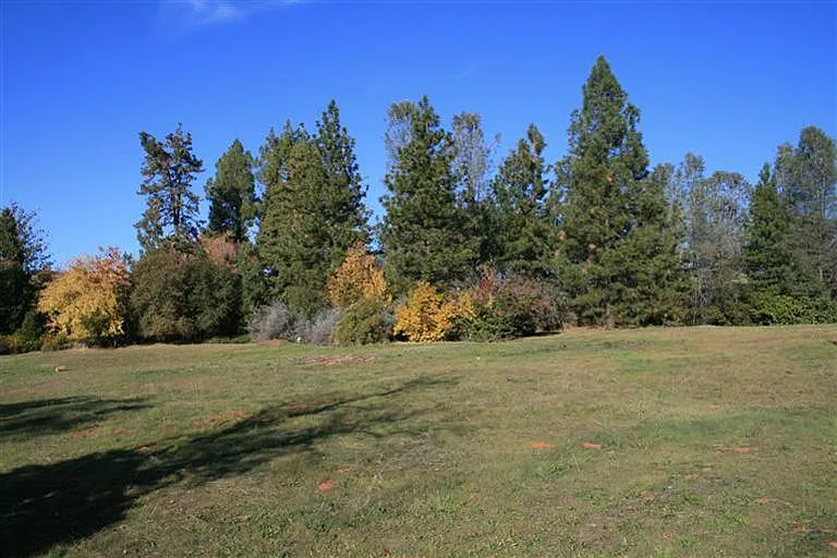 355 Silver Bend Way photo 1
