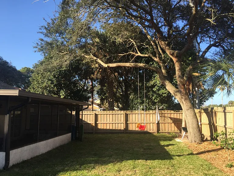 Backyard