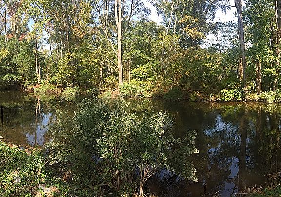 Canal.