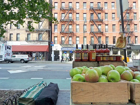 Rented by Bold New York | media 16