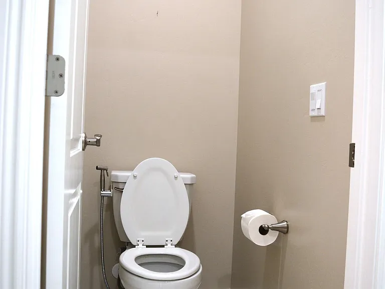 Primary bathroom - toilet