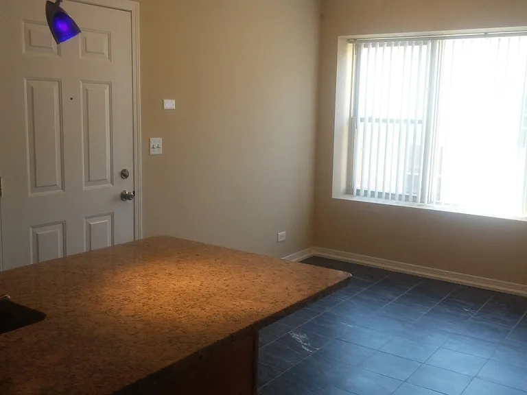 2726 W Lunt Ave #3W — Photo 2
