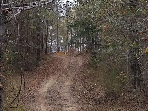 2nd image of 25847 County Road 462