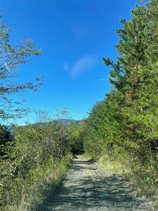 1305 Riddle Farm Rd, Marshall, NC, 28753