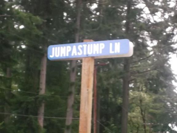 5th image of 11324 Jumpastump Ln SE