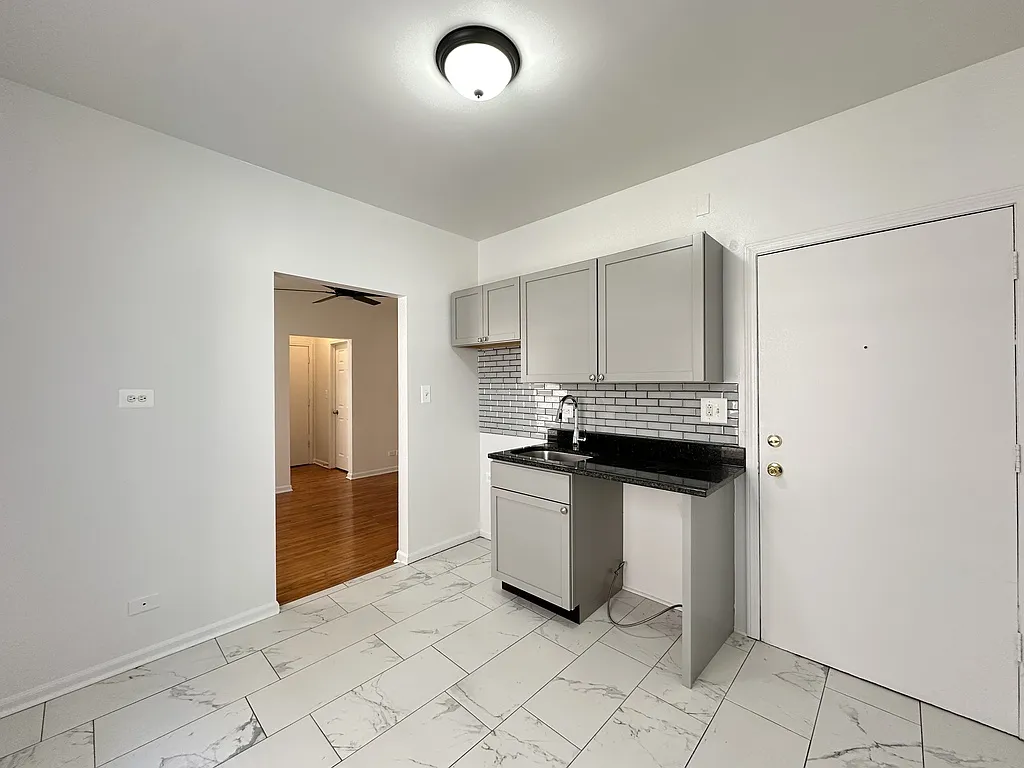 Cheerful Studio, 1 Bath at Magnolia + Devon (Rogers Park) — Photo 2