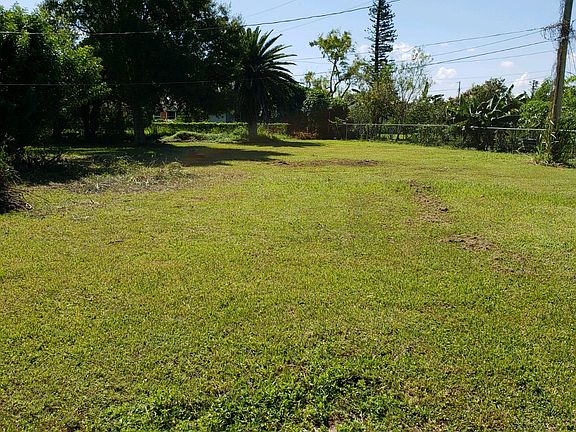 Back yard