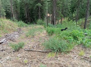 36 Hillman Basin Rd, New Meadows, ID 83654