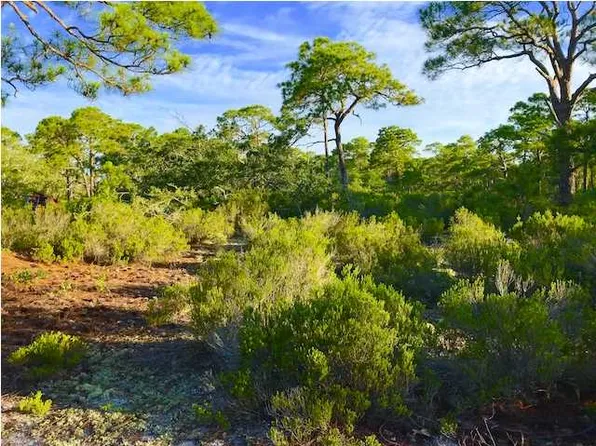 335 Lubbers Ln, Carrabelle, FL 32322