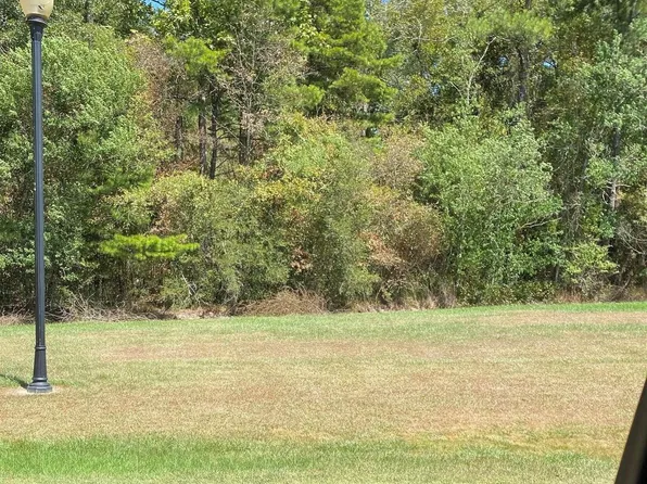 LOT 41 Shelby Dr, Denham Springs, LA 70706