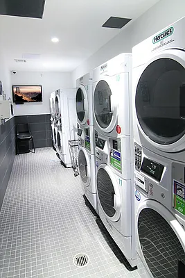 Rented by City View Living | media 110