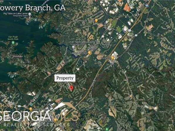 6238 Mount Salem Cir, Flowery Branch, GA 30542