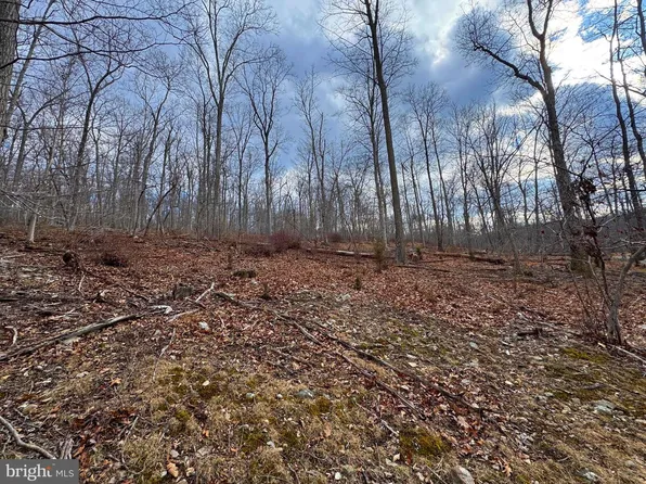 Frog Hollow Rd, Capon Bridge, WV 26711