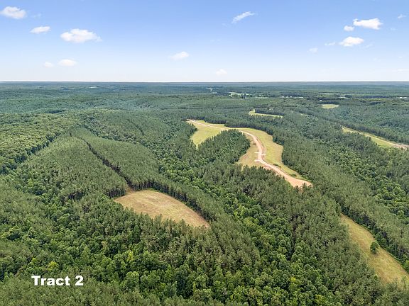 5th image of 1420 Big Swan Creek Rd Tract 2