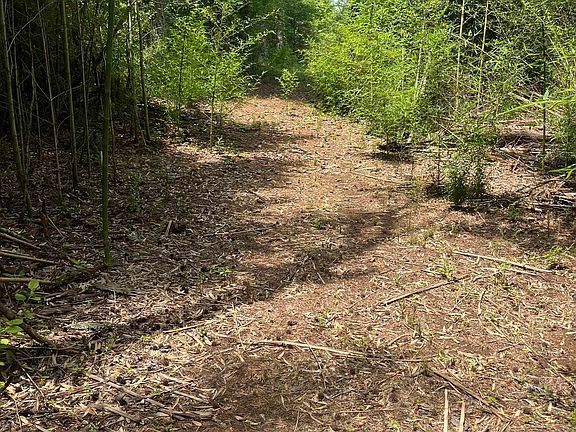 4th image of 385 Carr Rd