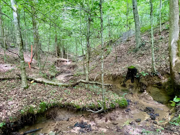 0 Coal Branch Rd, Beattyville, KY 41311