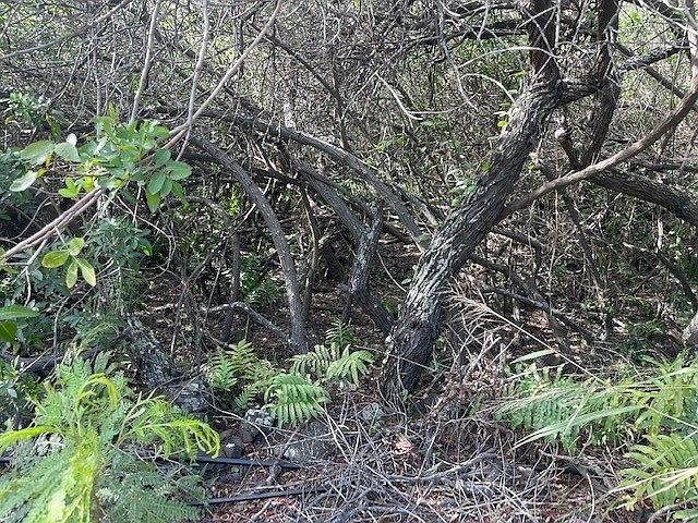 1st image of Holowai Rd Lot 6