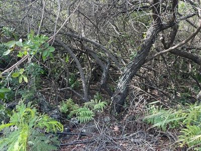 Holowai Rd Lot 6, Naalehu, HI, 96772