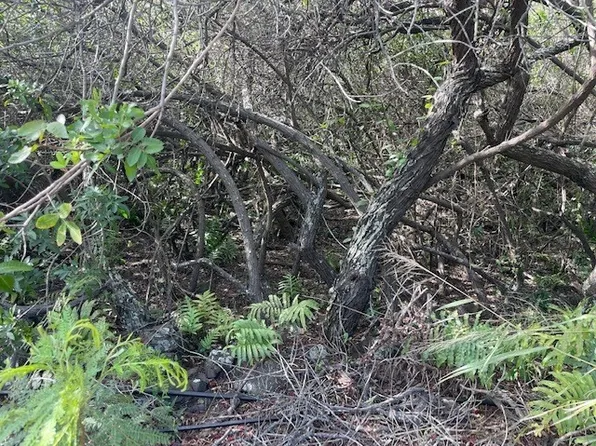 Holowai Rd Lot 6, Naalehu, HI 96772