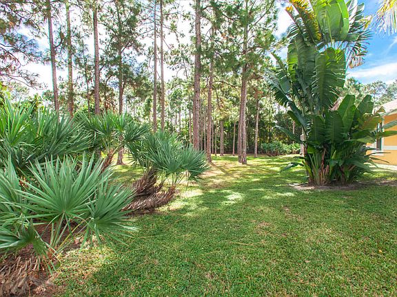 13172 Citrus Grove-726