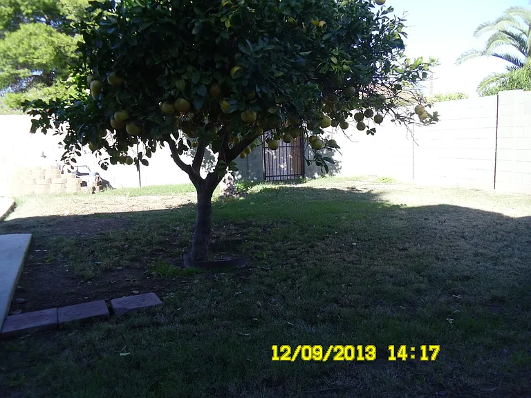 4910 W Gail Dr — Photo 8