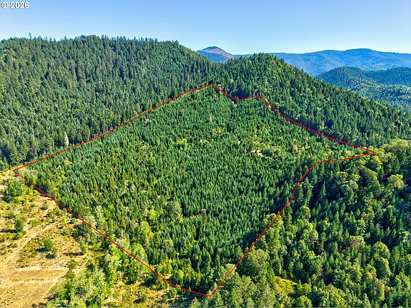 5th image of 1517 Quines Creek Rd