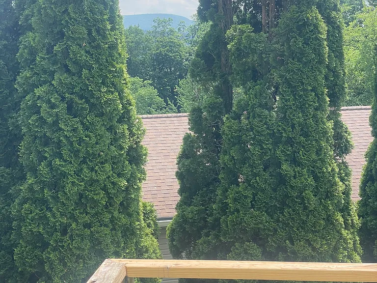 66 Lincoln Ave — Photo 13
