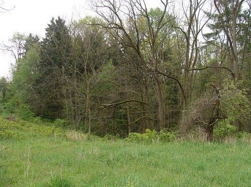3rd image of 45351 County Road 374