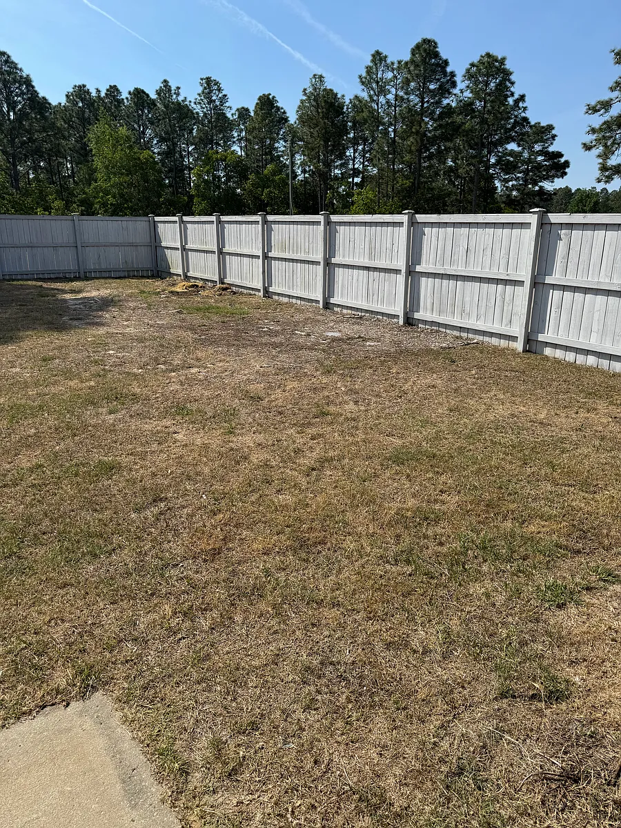 Back yard - 244 Edinfield Ct