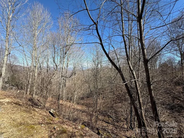 0 Running Cedar Ln #31, Mars Hill, NC 28754