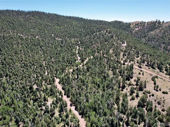 5935 Whitney Road, Fort Garland, CO 81133