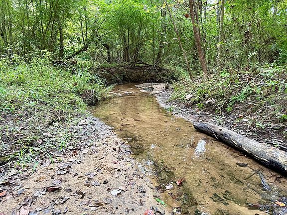 2nd image of 49/ACRE S Mount Zion Rd