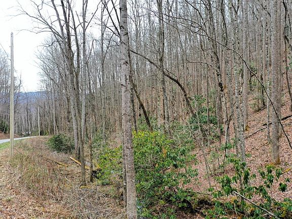 4th image of 0 Tilley Creek Rd