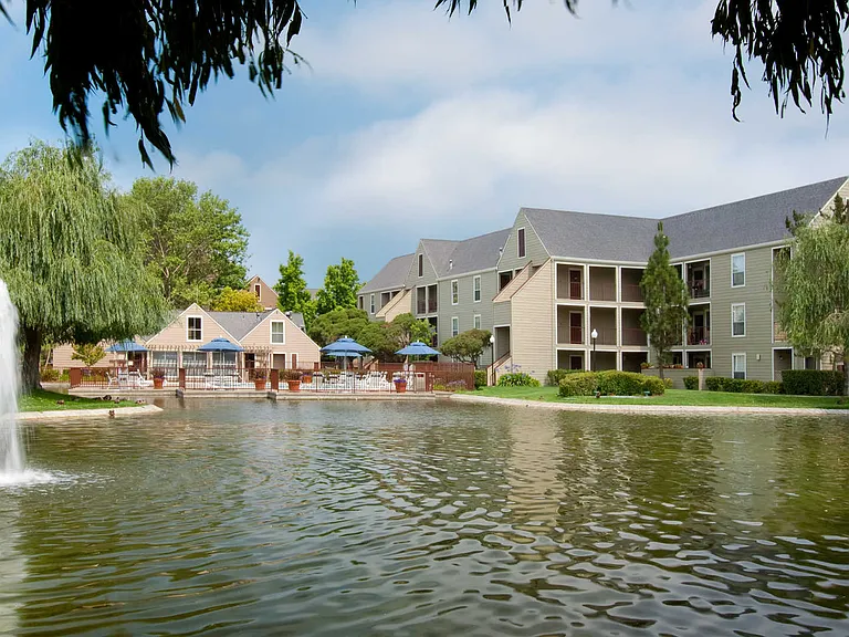 Pond