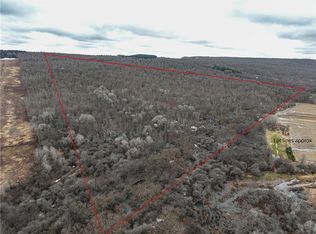 Engdahl Rd LOT 11, Cherry Creek, NY 14723