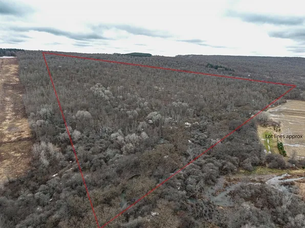 Engdahl Rd Lot 11, Cherry Creek, NY 14723