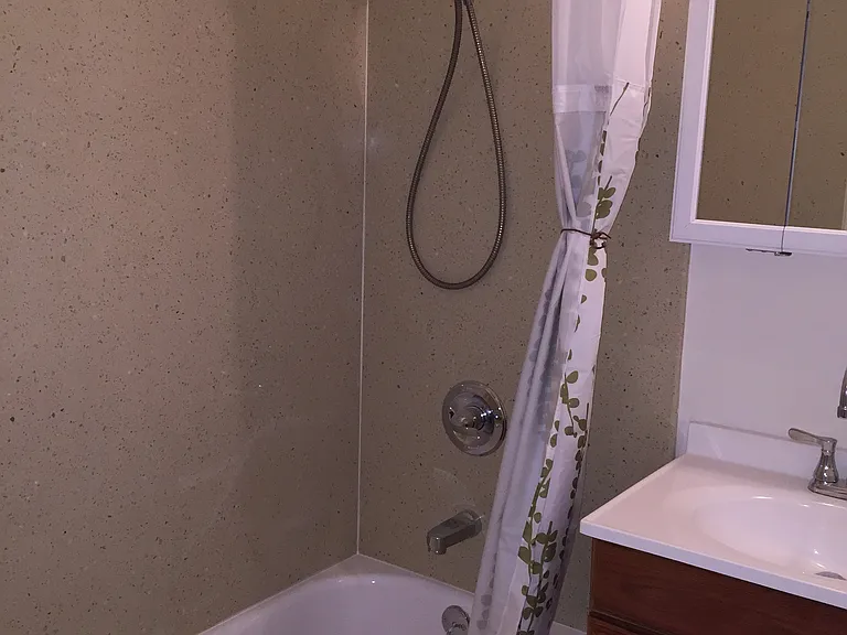 Bathroom with Shower and Bath Tub