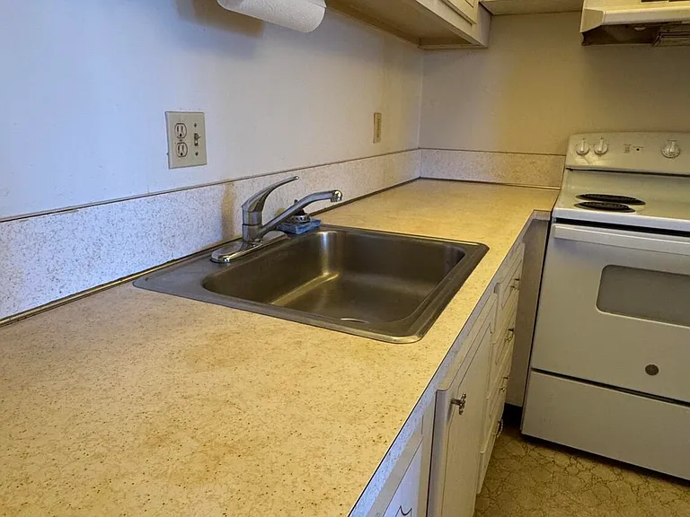 100 Village Green Cir E #314 — Photo 4