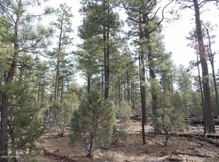 2065 Little Hawk Trl, Overgaard, AZ 85933