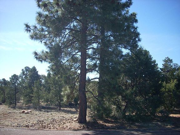 4th image of 3414 Whistlers Cir