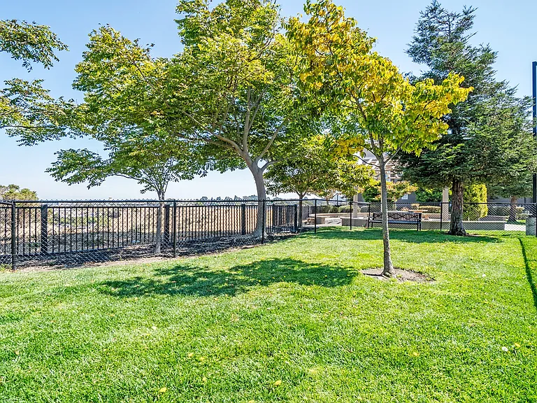A community designed with your furry friends in mind.