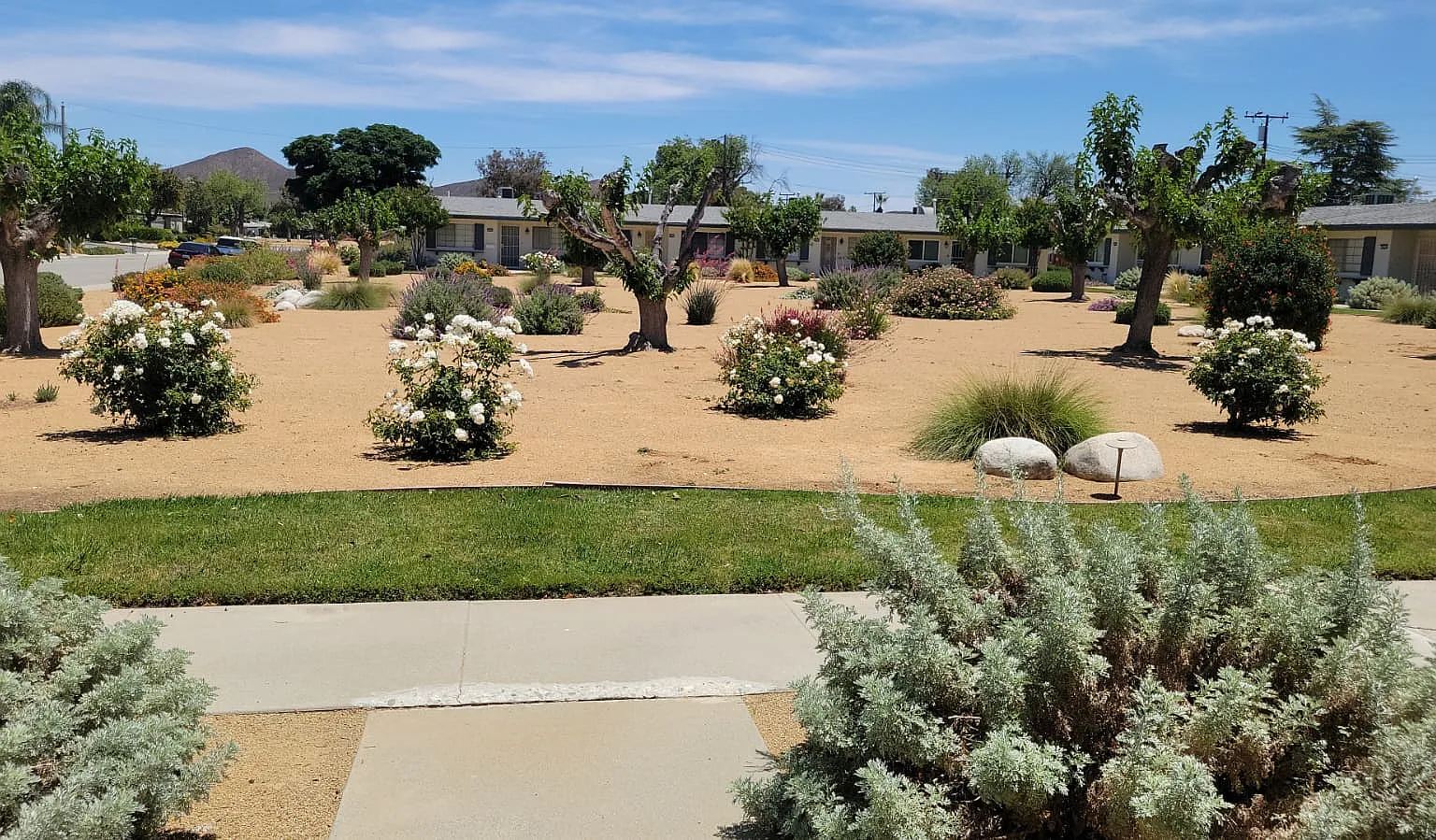 1 bed, 876 sqft, $1,995 — Photo 4