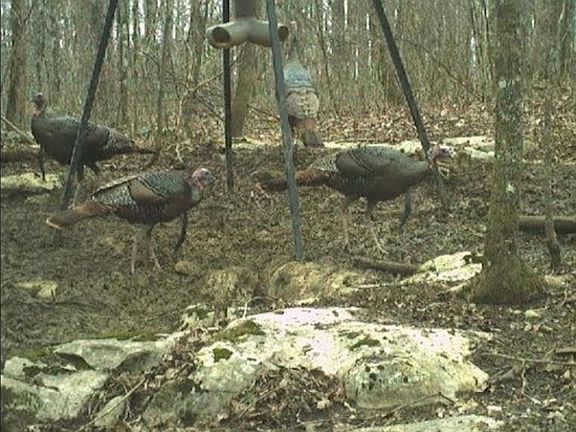 2nd image of County Road 604