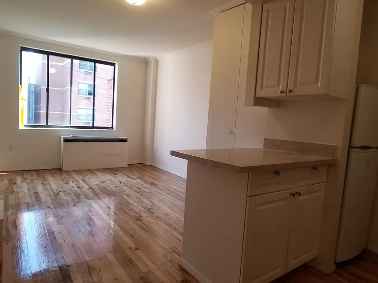 333 E 95th St #3D — Photo 8