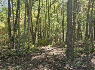 208 Old Furnace Rd, Tellico Plains, TN 37385