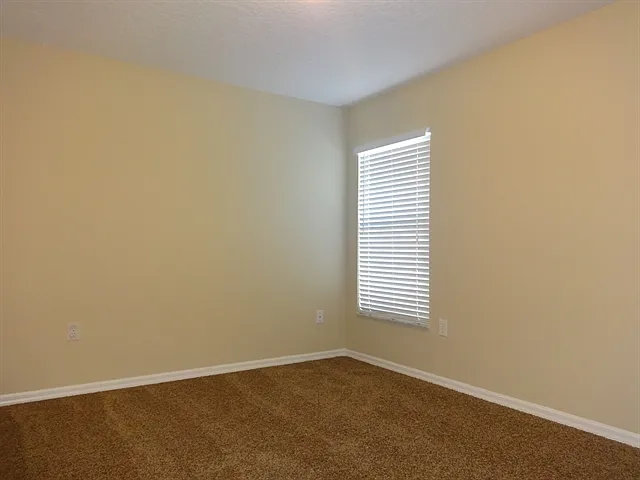 1323 Old Millpond Rd — Photo 15